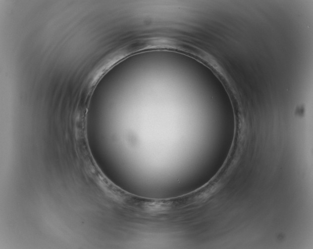 X0000111381145200907171216