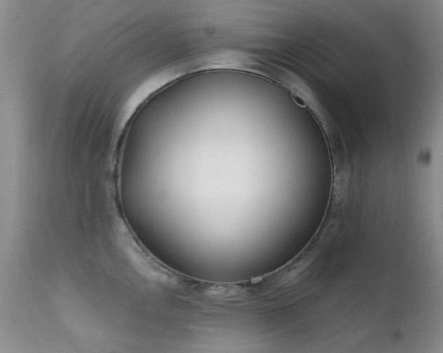 X0000111381146200907171216