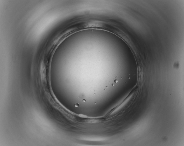 X0000111381151200907171216