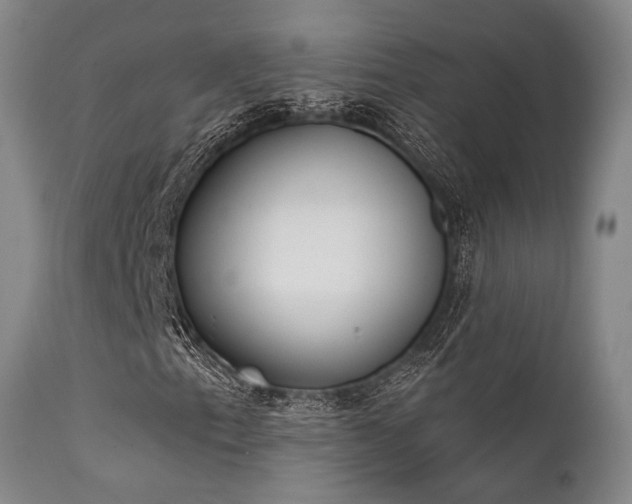 X0000111381153200907171215