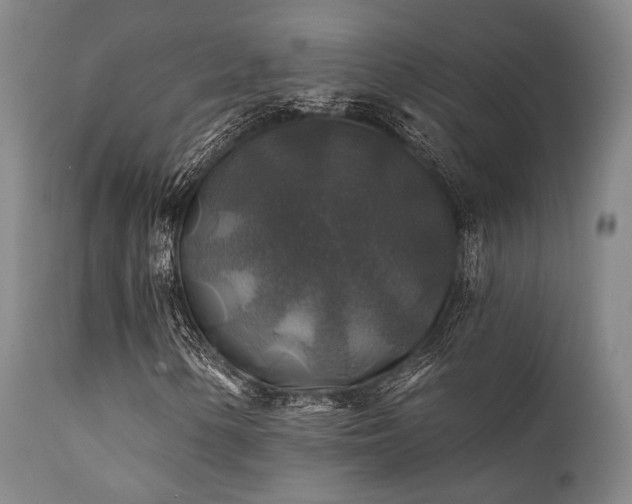 X0000111381154200907171215