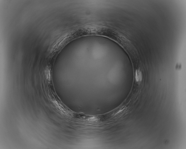 X0000111381155200907171215