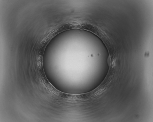 X0000111381156200907171215