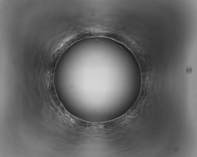 X0000111381157200907171215