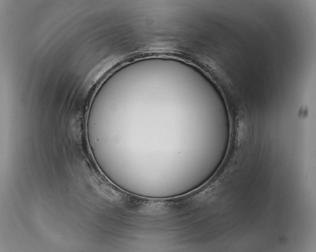 X0000111381162200907171215