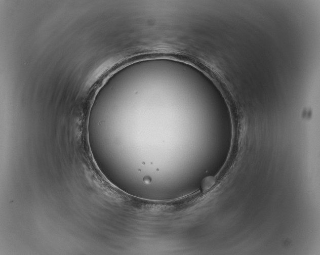 X0000111381163200907171215