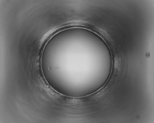 X0000111381164200907171215