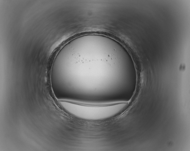 X0000111381165200907171215