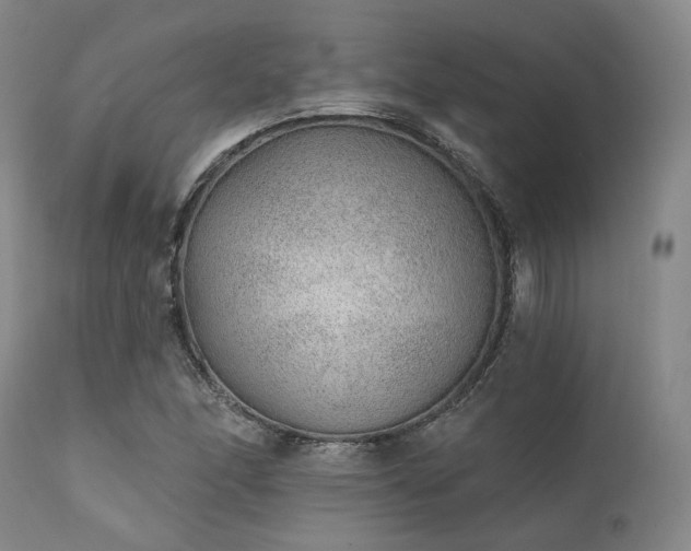 X0000111381166200907171215