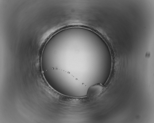 X0000111381167200907171215