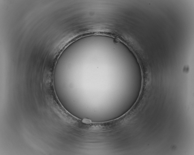X0000111381169200907171215