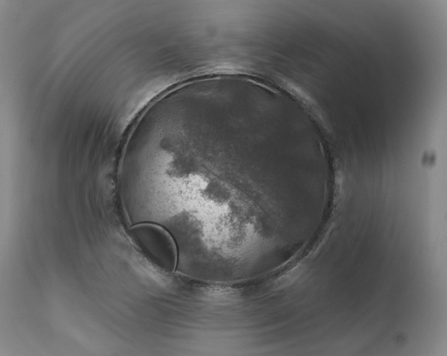 X0000111381170200907171215