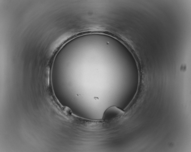 X0000111381171200907171215