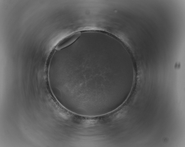 X0000111381173200907171215