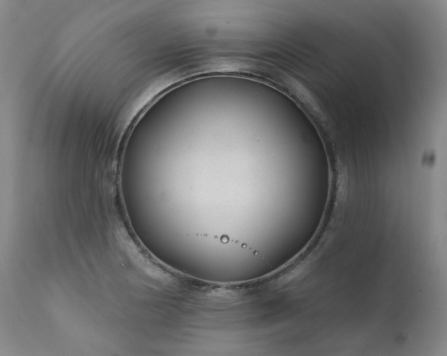 X0000111381178200907171215