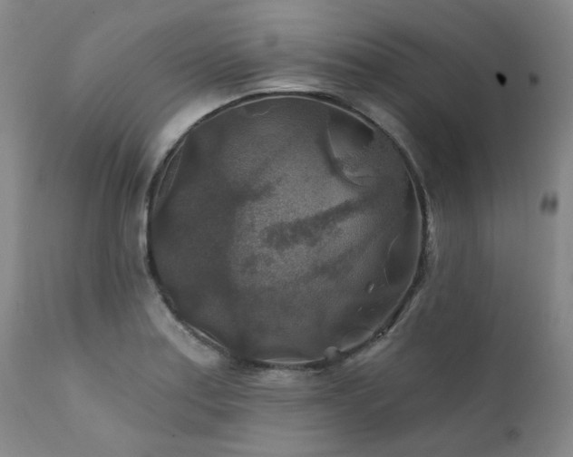 X0000111381179200907171215