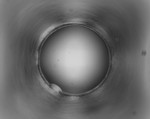 X0000111381180200907171215