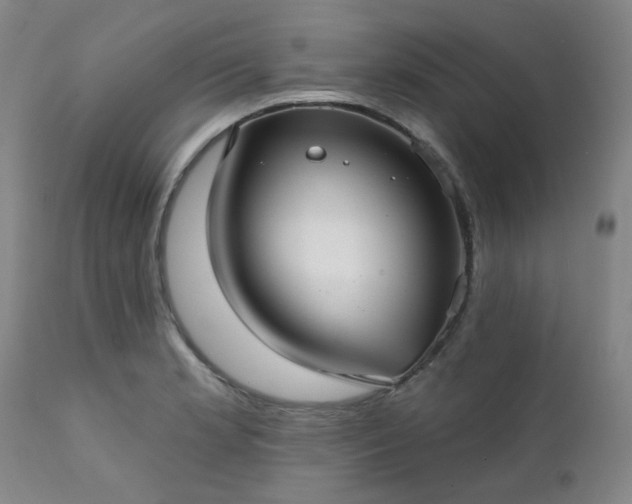X0000111381181200907171215