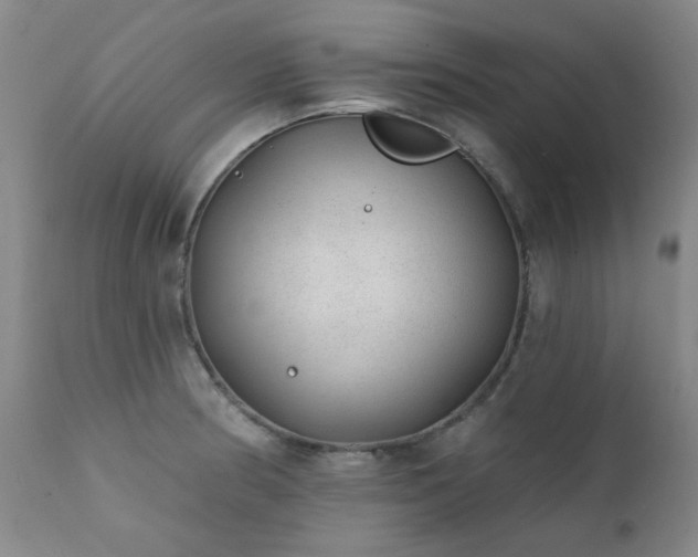 X0000111381186200907171215