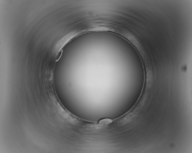 X0000111381193200907171215