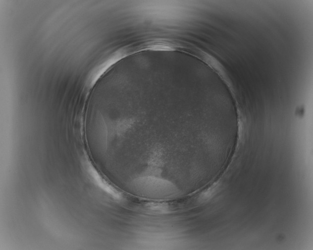 X0000111381194200907171215