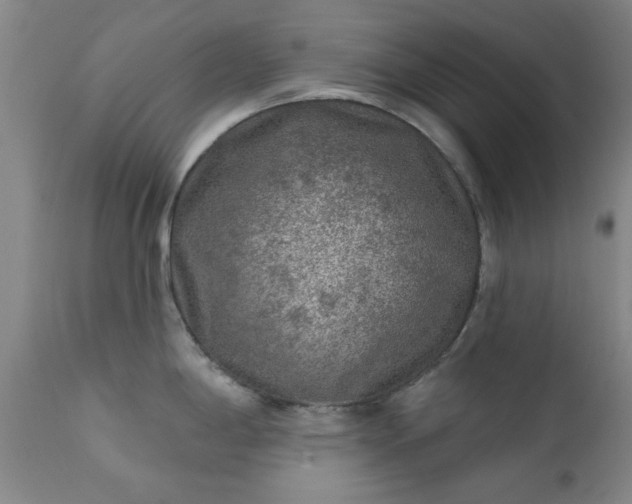 X0000111381198200907171215