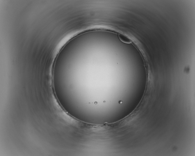 X0000111381199200907171215