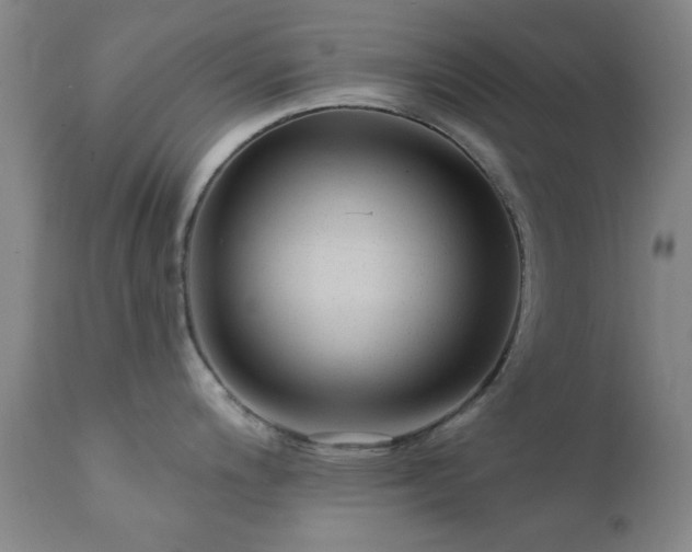 X0000111381200200907171215