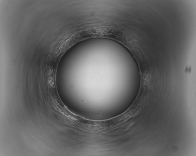X0000111381202200907171214