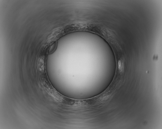 X0000111381203200907171214
