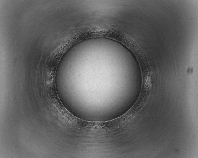 X0000111381204200907171214