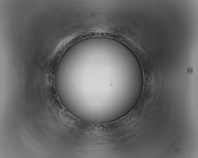 X0000111381207200907171214