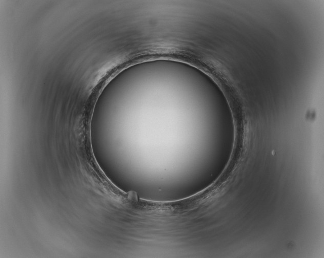 X0000111381210200907171214