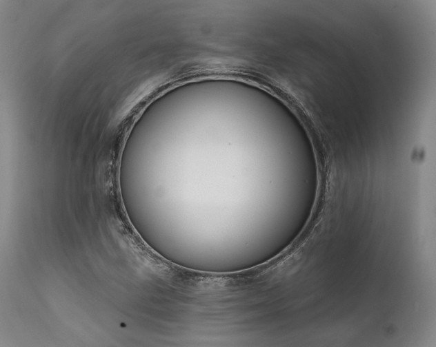 X0000111381211200907171214