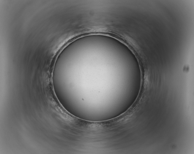 X0000111381212200907171214