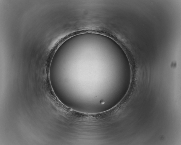 X0000111381214200907171214