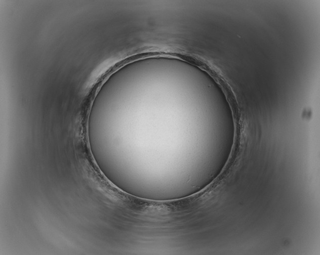 X0000111381215200907171214