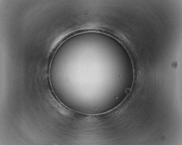 X0000111381216200907171214