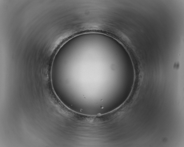 X0000111381218200907171214