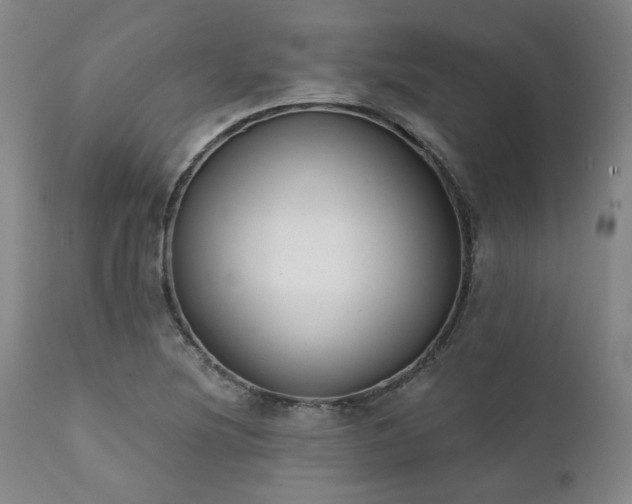 X0000111381220200907171214
