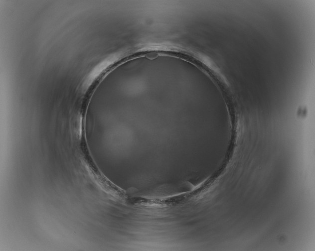 X0000111381221200907171214