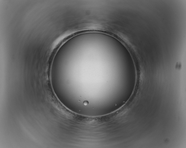 X0000111381222200907171214