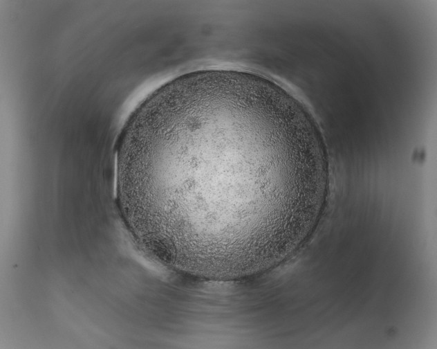 X0000111381223200907171214