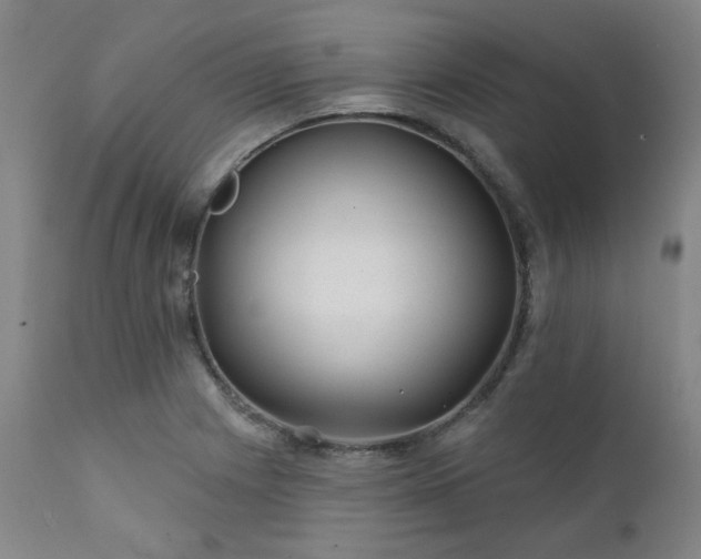X0000111381225200907171214