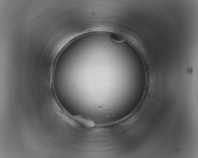 X0000111381228200907171214