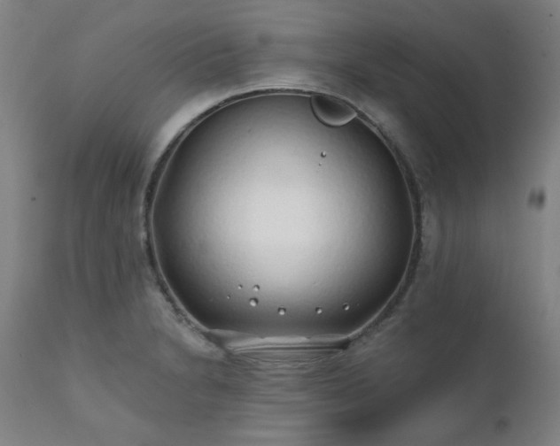 X0000111381230200907171214