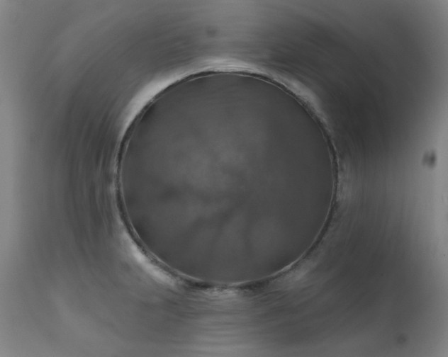 X0000111381231200907171214