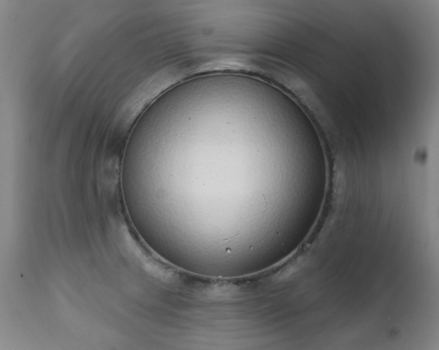 X0000111381233200907171214