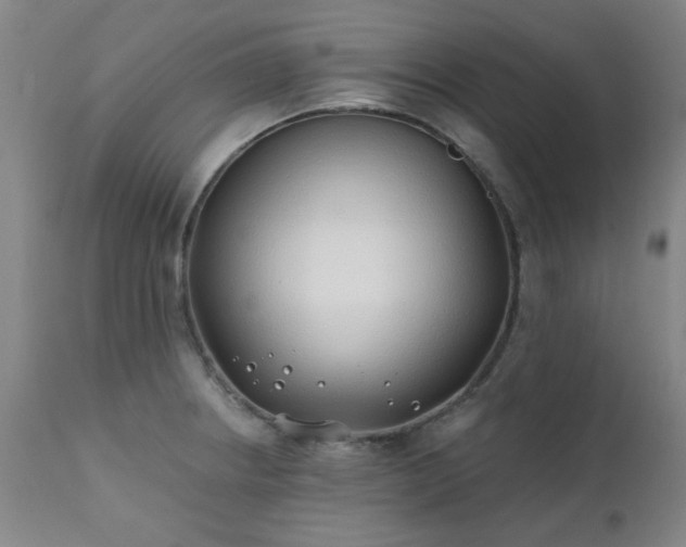 X0000111381234200907171214