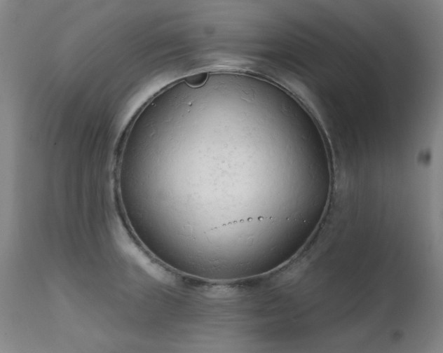 X0000111381235200907171214